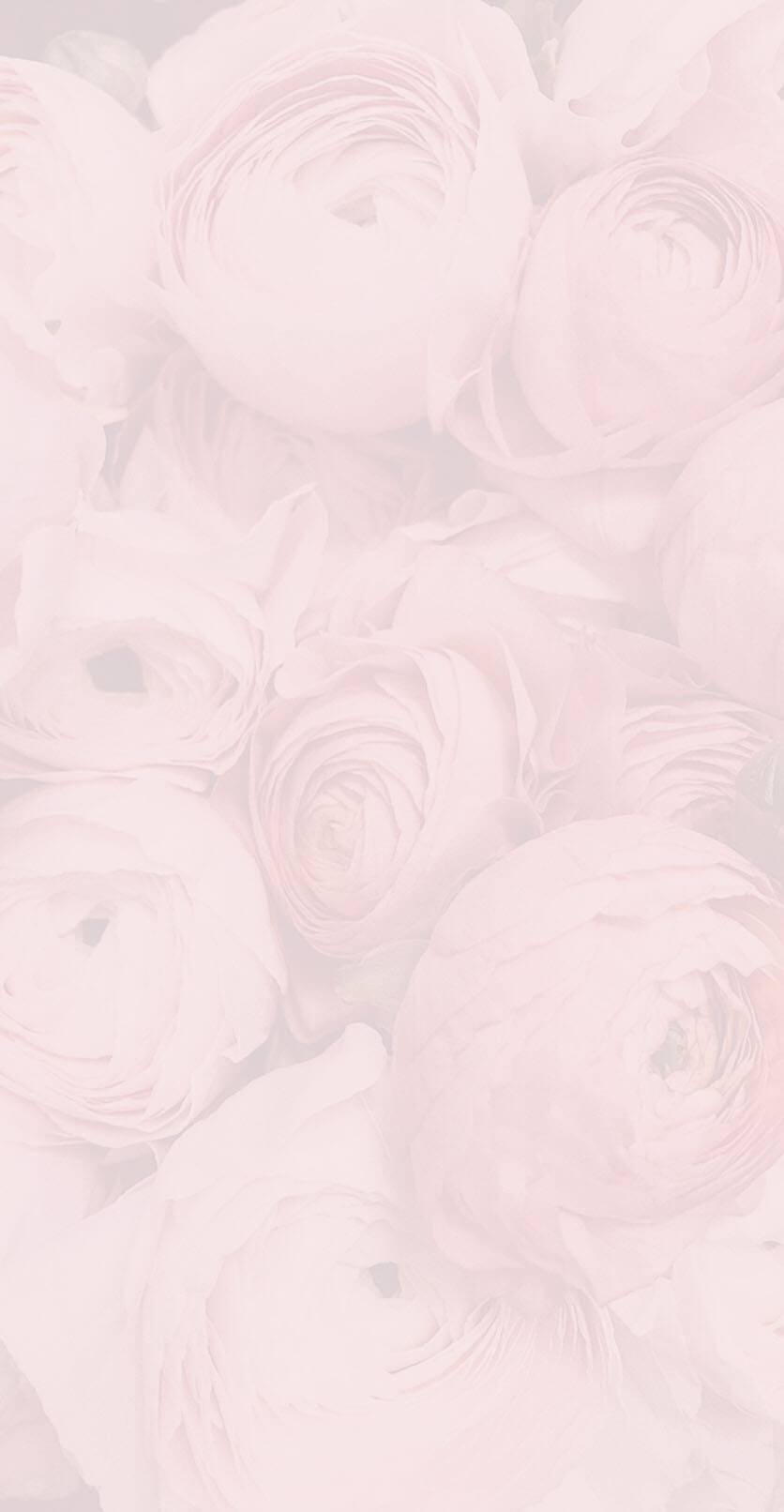 Section background image