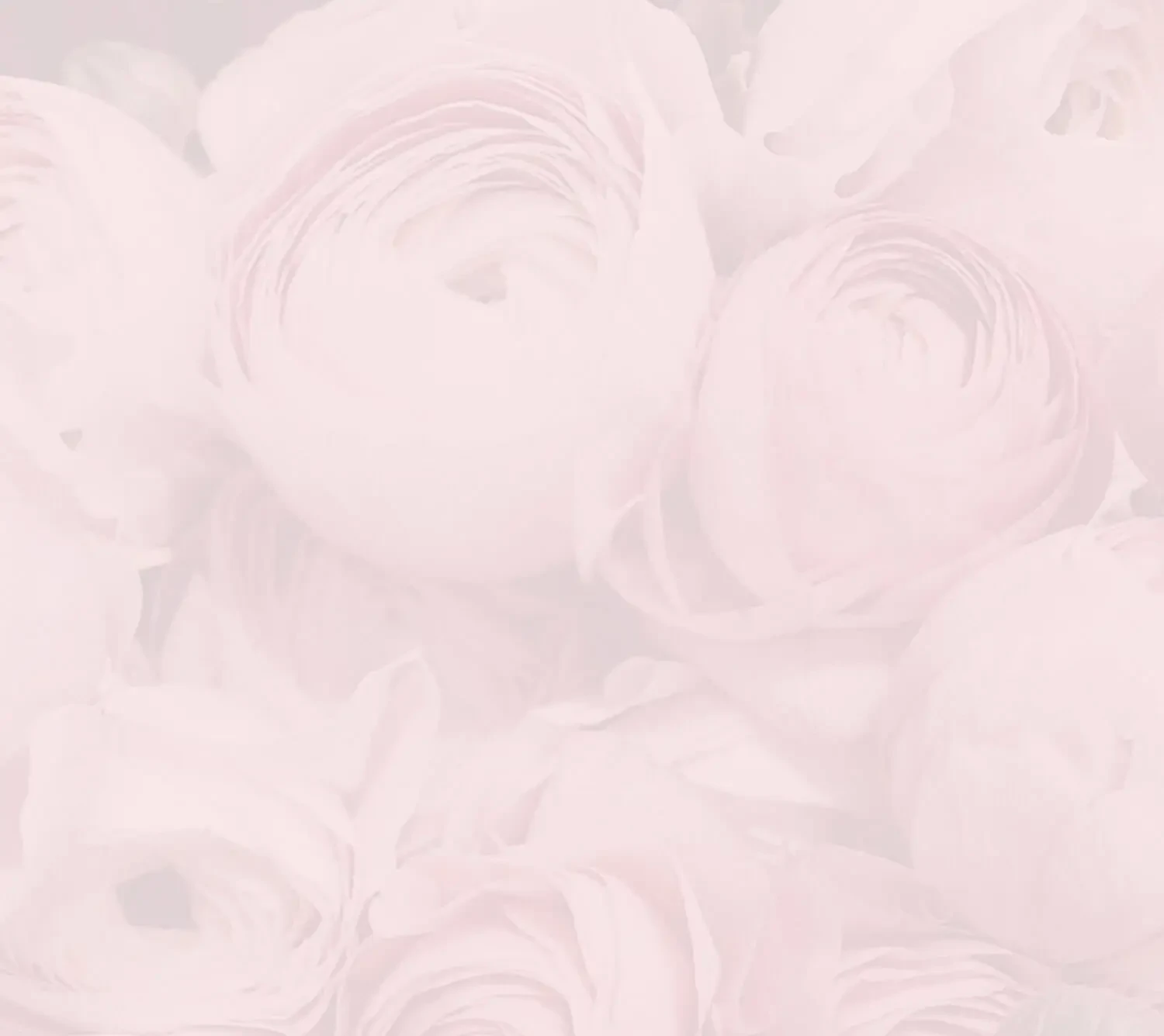 Background Image Mobile